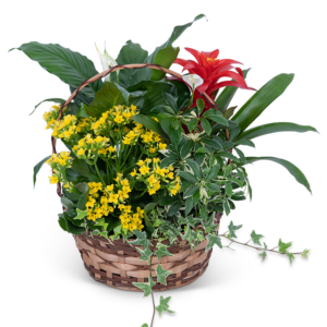 Blooming European Garden Basket