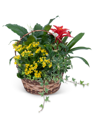 Blooming European Garden Basket