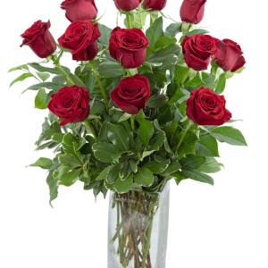 Classic Dozen Rose Arrangement