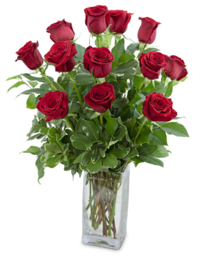 Classic Dozen Rose Arrangement