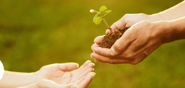 Image shows individual placing small plant with dirt into another individual's hands in sunlit outdoor setting