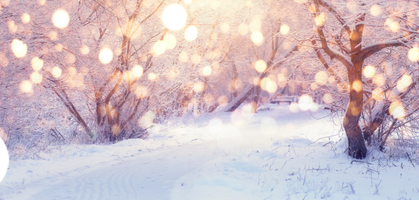 Wintry forest path with bench in background and glow of lights