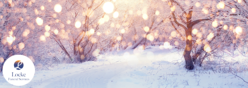 Wintry forest path with bench in background and glow of lights