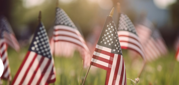 American flags in the grass for Veterans Day