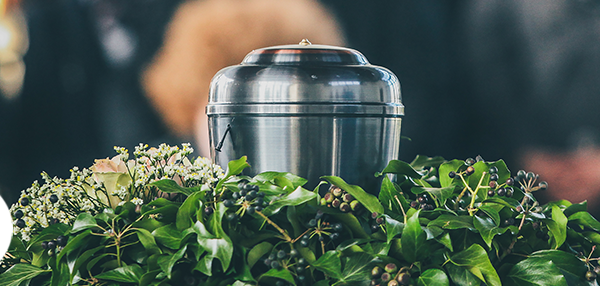 Image of cremation urn on bed of greenery.