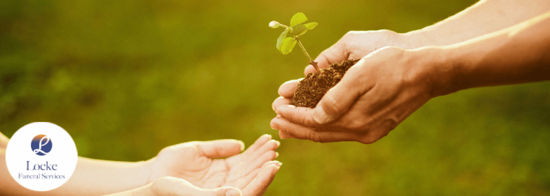 Image shows individual placing small plant with dirt into another individual's hands in sunlit outdoor setting